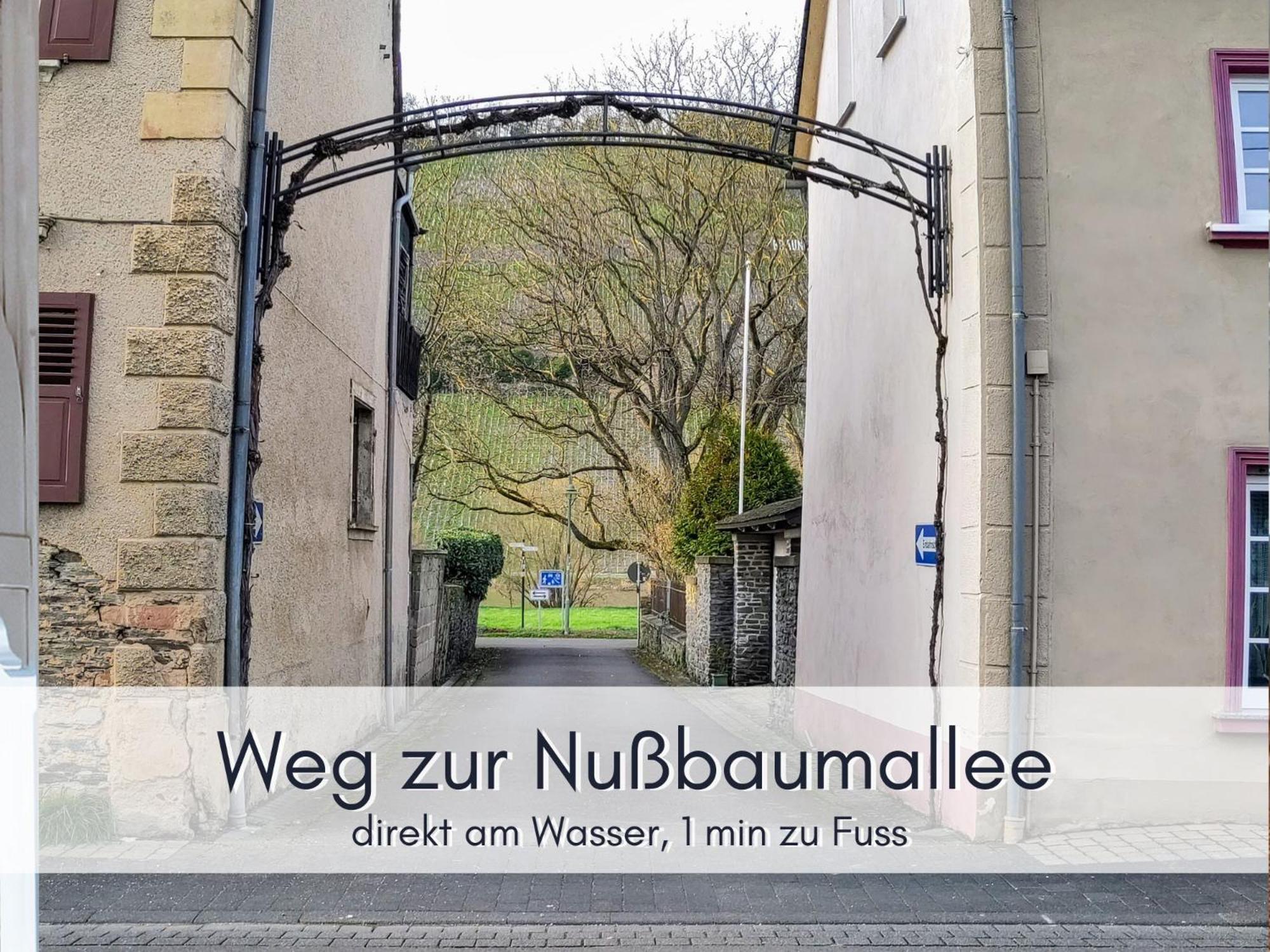 Komfort Fewo L Moselstay L Maximal 4 Personen Und Baby I Brauneberg Mosel I Wifi I Extérieur photo
