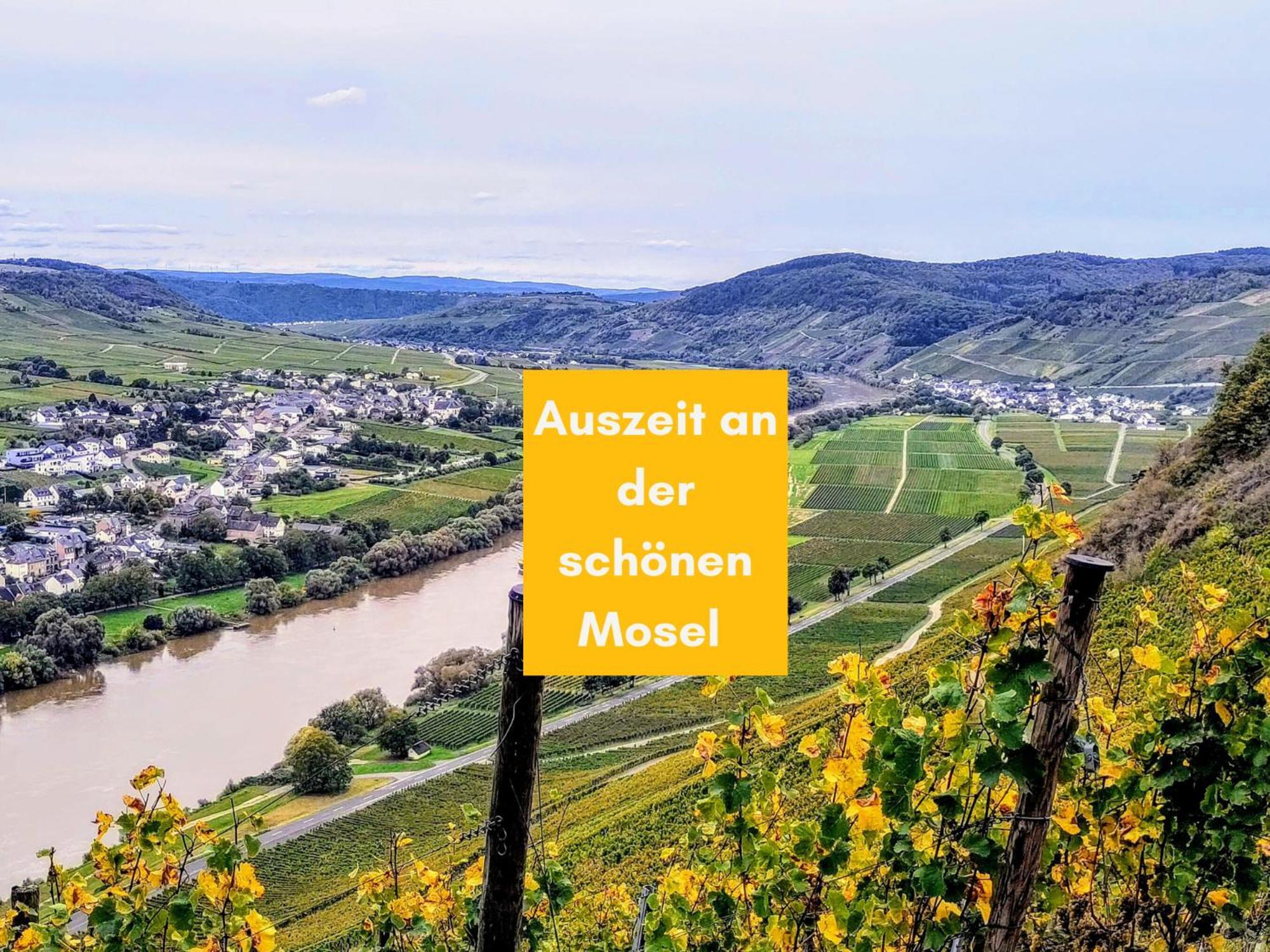 Komfort Fewo L Moselstay L Maximal 4 Personen Und Baby I Brauneberg Mosel I Wifi I Extérieur photo