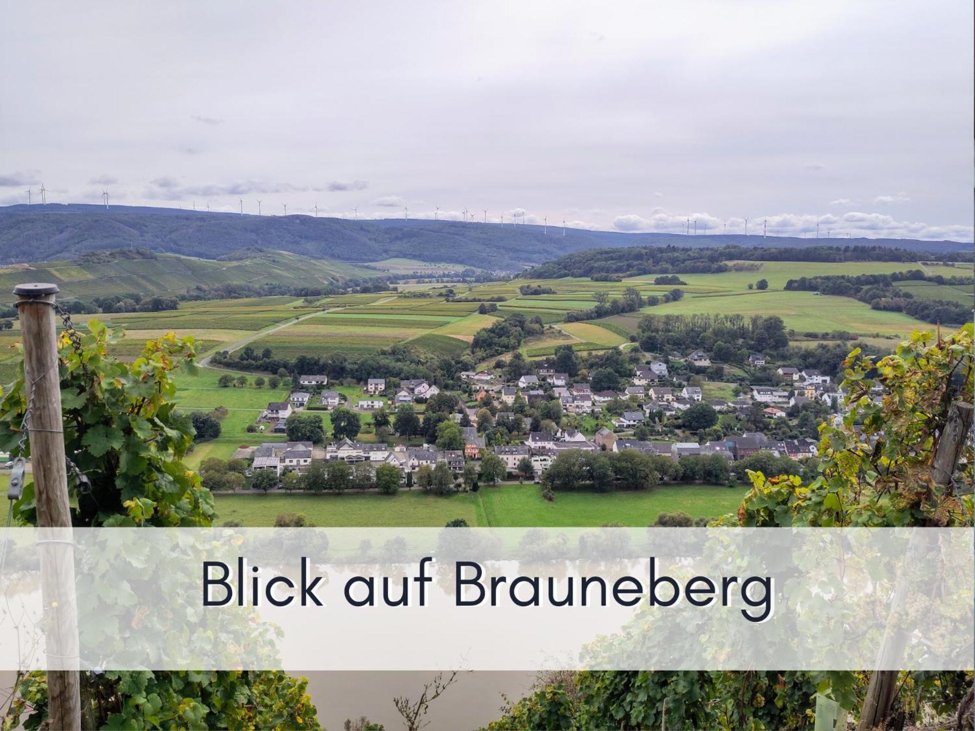 Komfort Fewo L Moselstay L Maximal 4 Personen Und Baby I Brauneberg Mosel I Wifi I Extérieur photo
