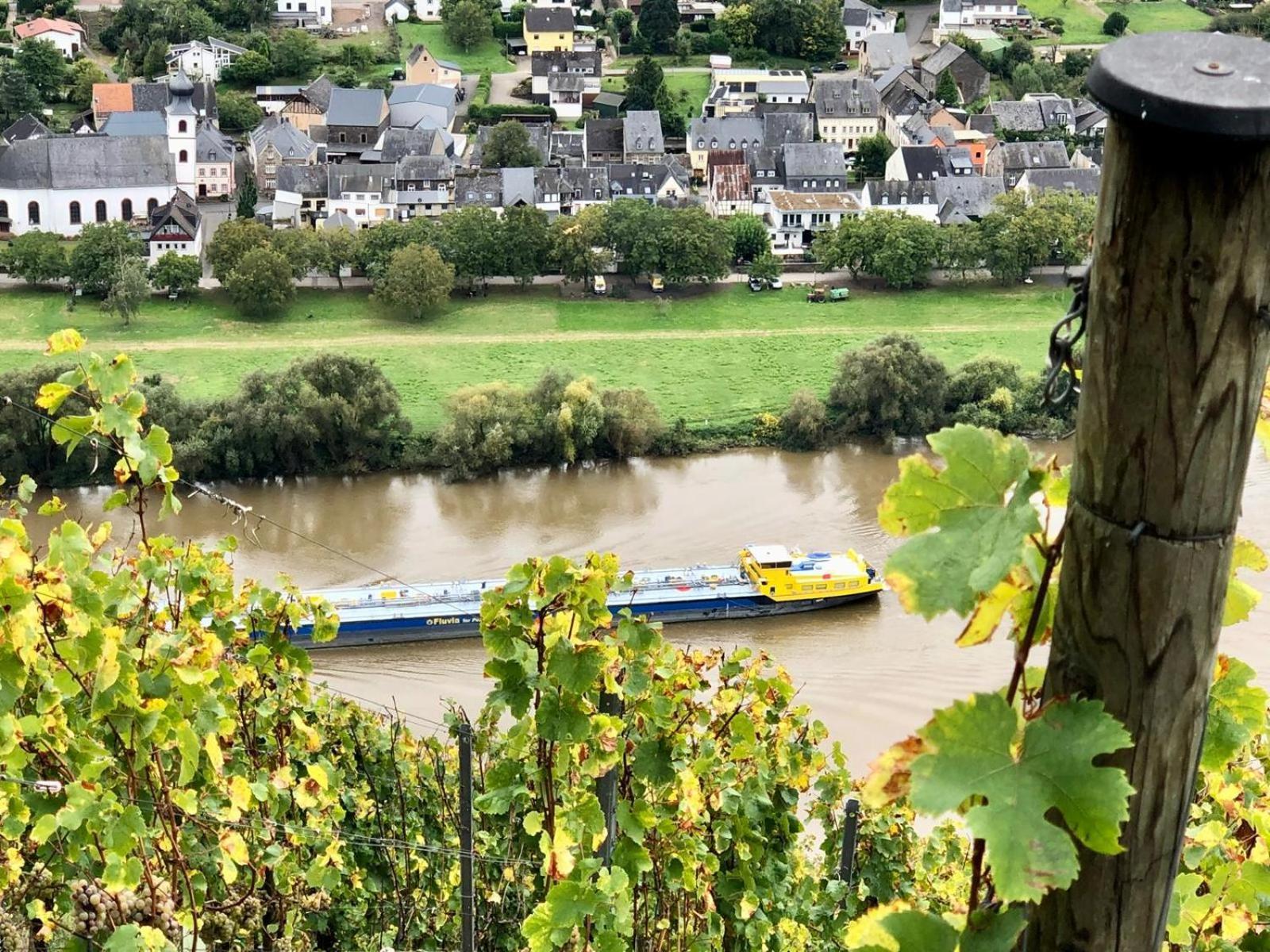 Komfort Fewo L Moselstay L Maximal 4 Personen Und Baby I Brauneberg Mosel I Wifi I Extérieur photo